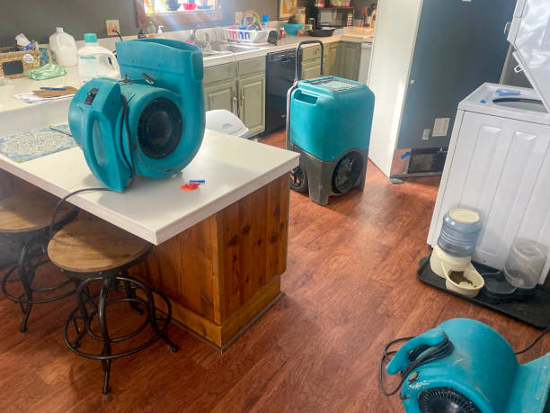 Best Residential water damage restoration  in Hurlock, MD