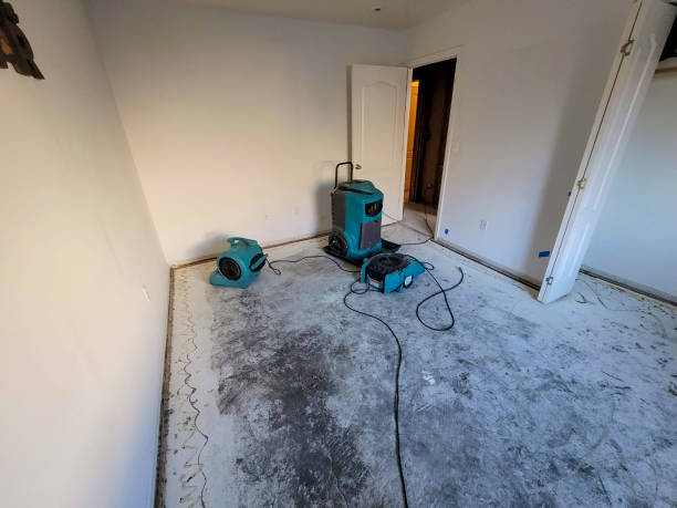 Best 24-hour water damage restoration  in Hurlock, MD