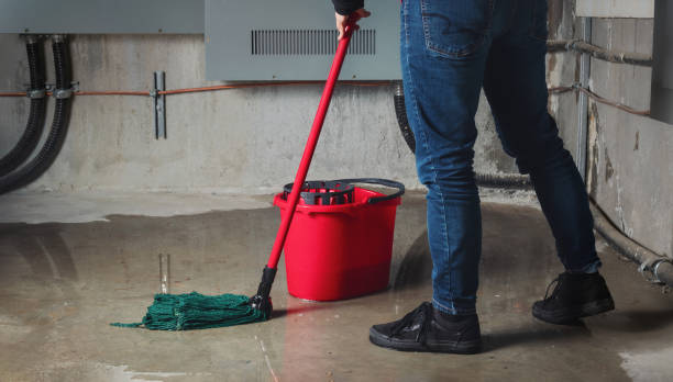 Best Flooded house restoration  in Hurlock, MD