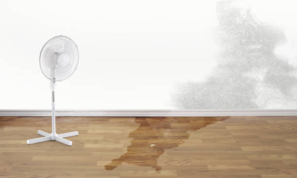 24/7 water damage repair in Hurlock, MD