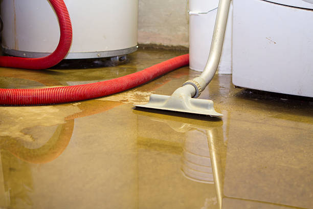 Best Water damage contractors near me  in Hurlock, MD